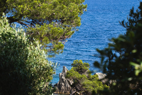 Get in touch with us